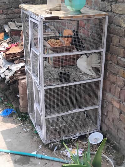 Wooden Cage for hens and pigeons size 3×3 2 portions