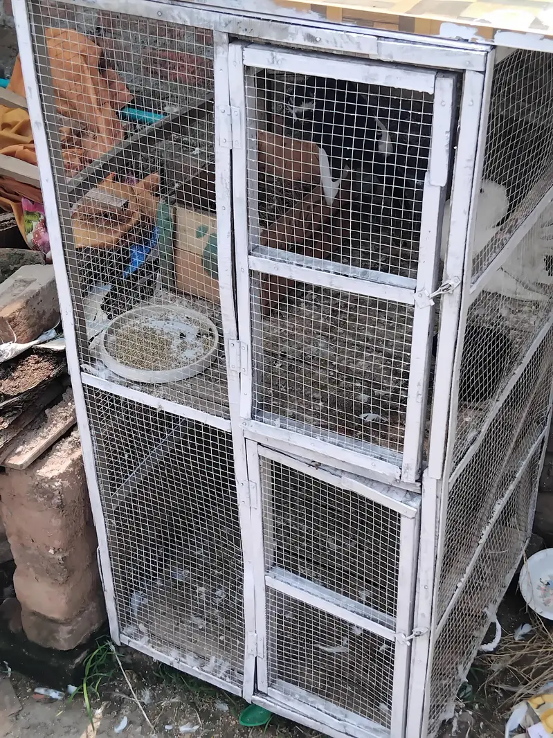 Wooden Cage for hens and pigeons size 3×3 2 portions — photo 2