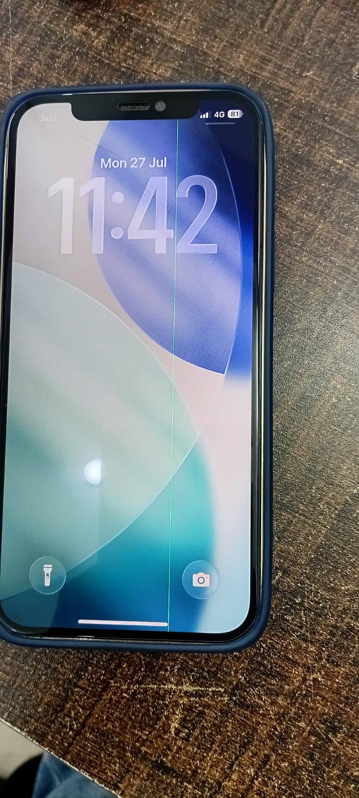 12 pro 1