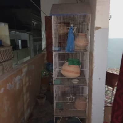 3 portion cage