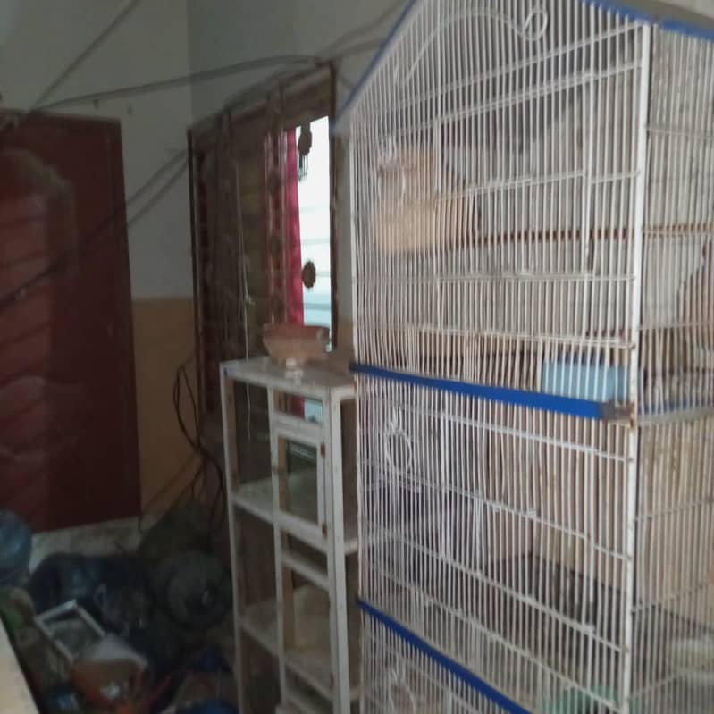 3 portion cage 1