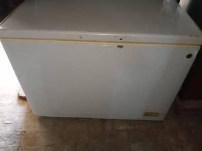 pel freezer for sale-excellent condition