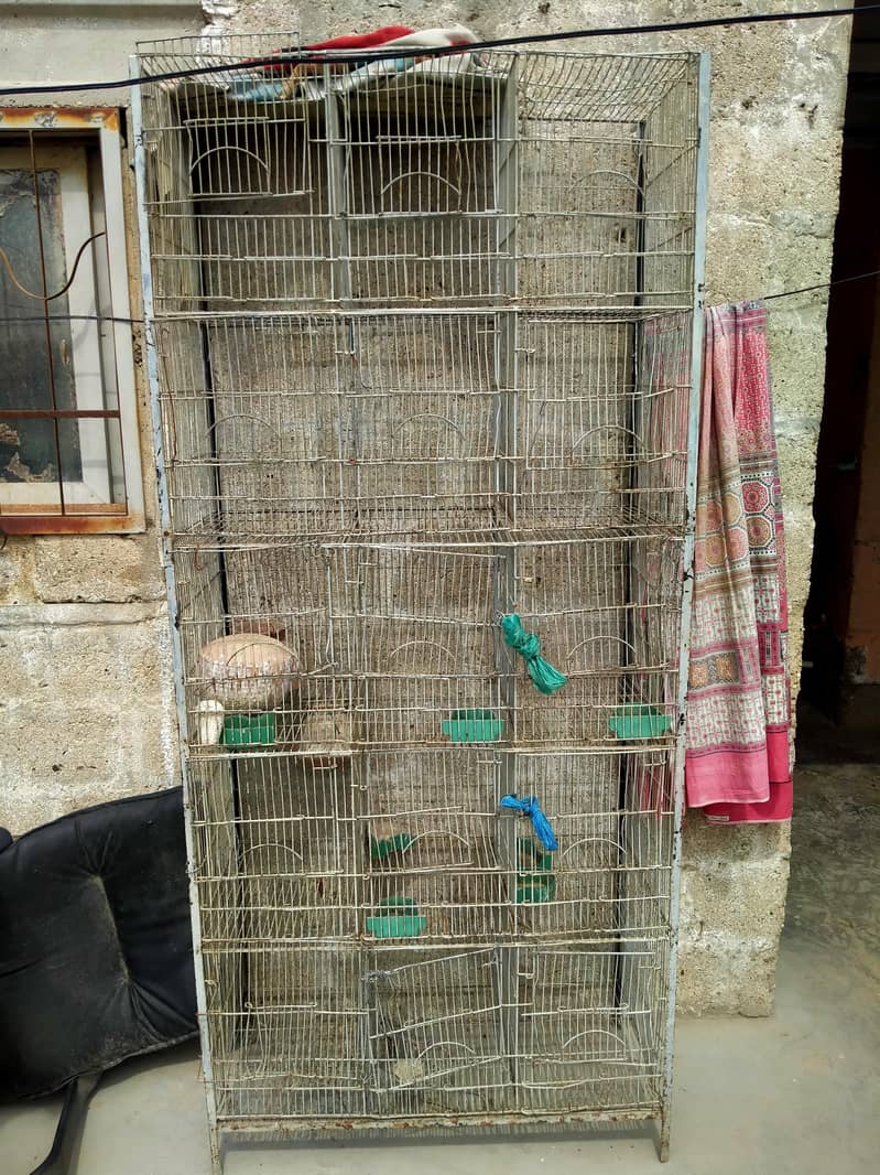 Parrot cage 1