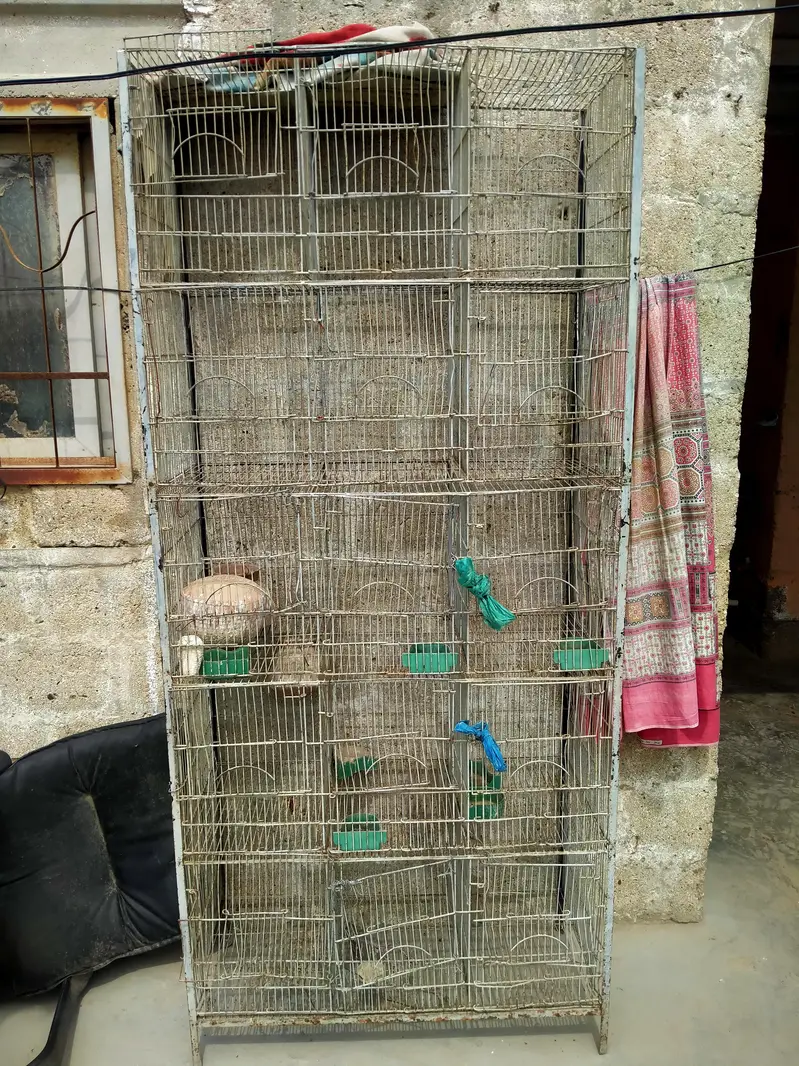 Parrot cage — photo 2