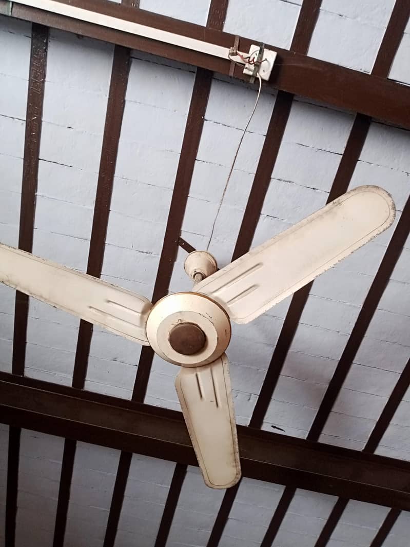 ceiling fan 0