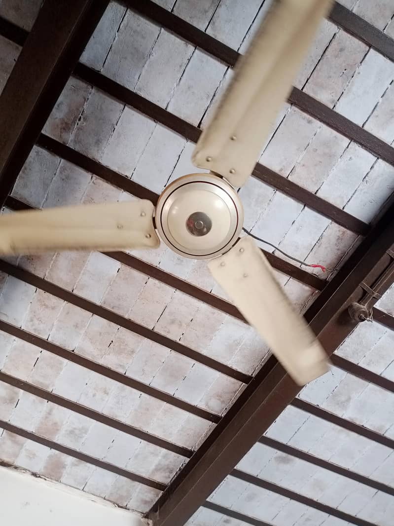 ceiling fan 1