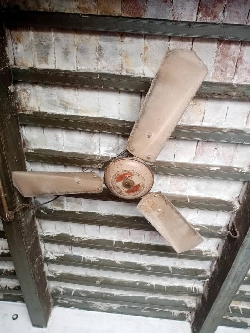 ceiling fan 2