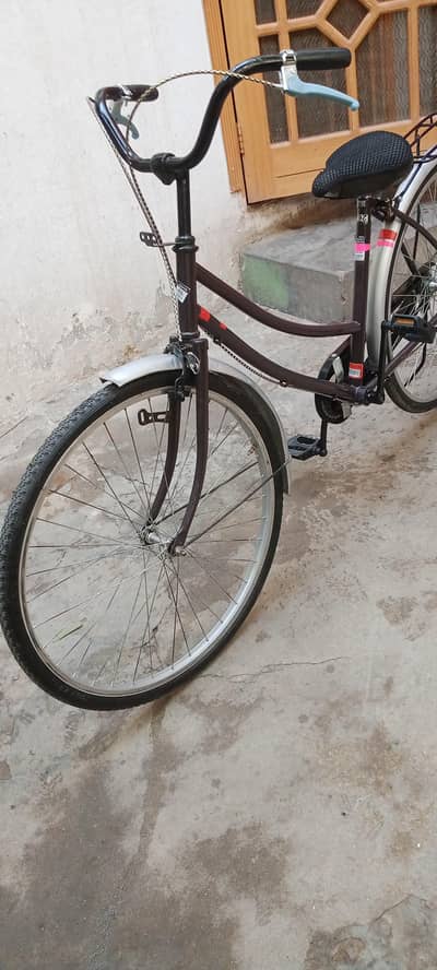 zarobi Wal cycle condition 10 9 03194751351