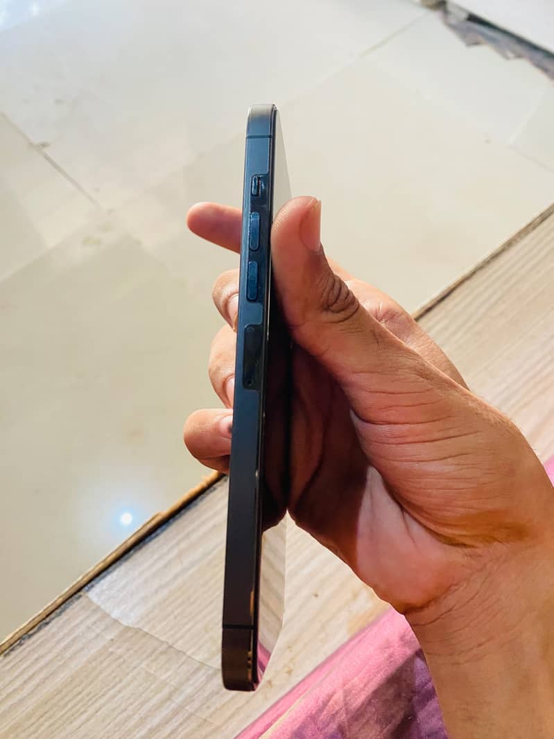 Apple iPhone 13 Pro Max 2