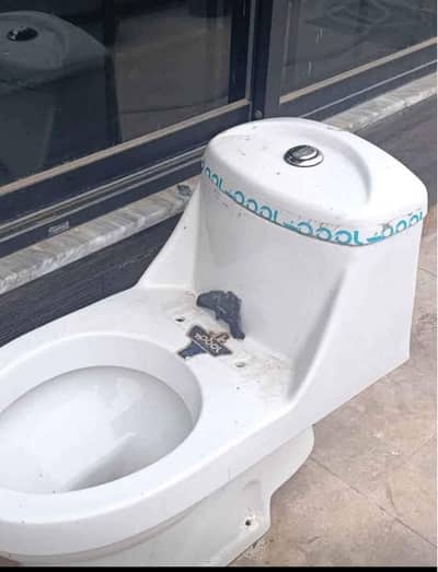 toilet seat