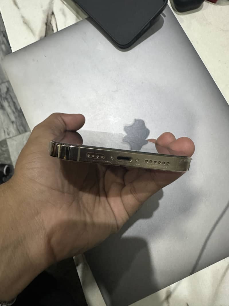 13 pro max 4