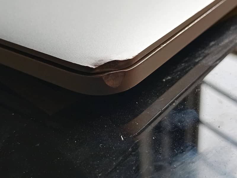 Apple 7