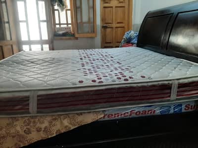 Master spring foam King size  foam mattress sale
