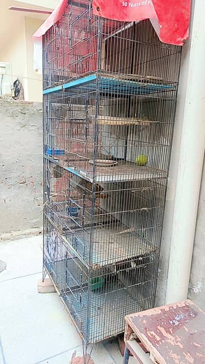 Large Iron Cage for urgent sale