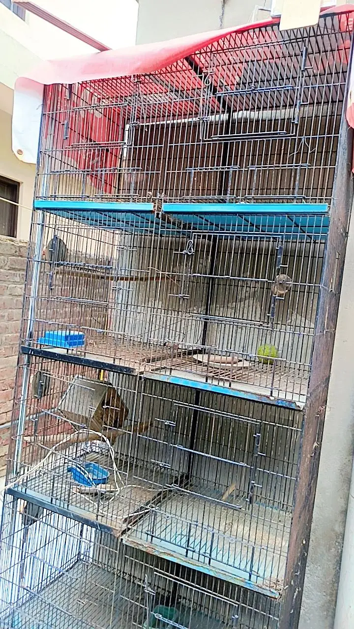Large Iron Cage for urgent sale — photo 3