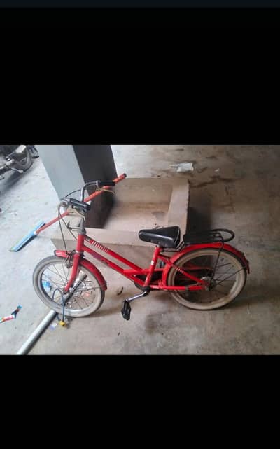 Japan cycle