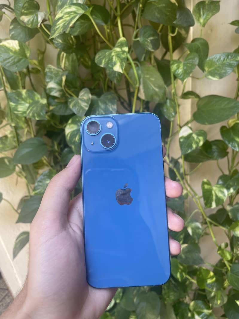 iPhone 13 0