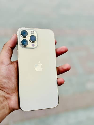 Apple iPhone 13 Pro Max