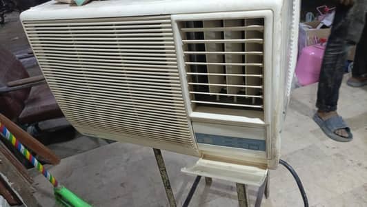window type 110 volts