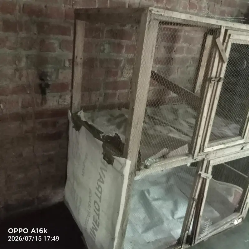 hen cages and birds cages with Double side or floor — photo 3