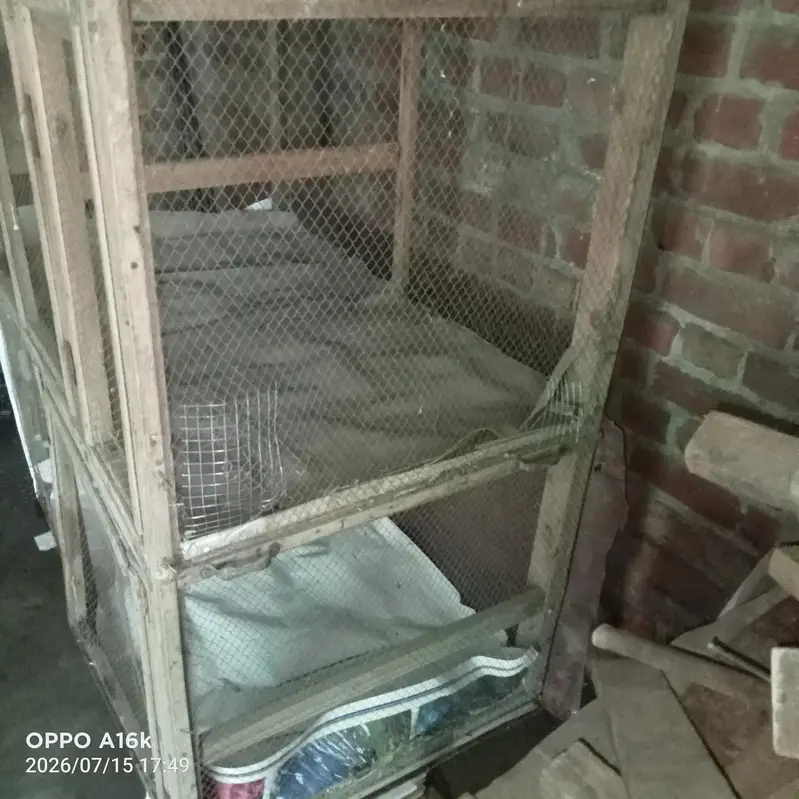 hen cages and birds cages with Double side or floor — photo 4