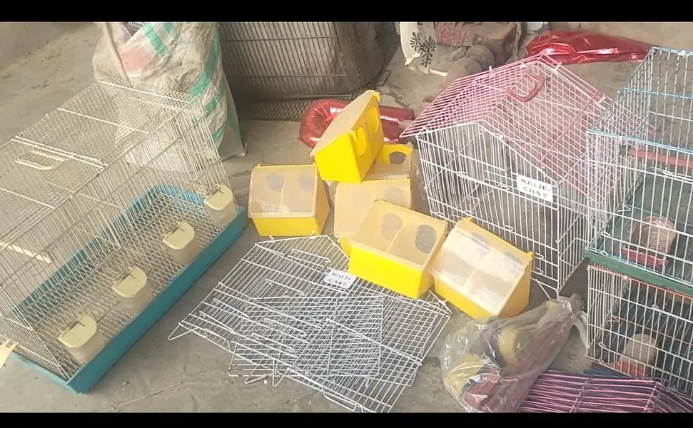 Birds cages and Lott of — photo 8