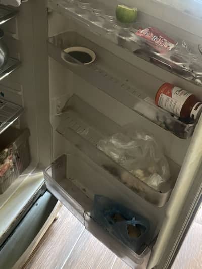 Singer fridge used