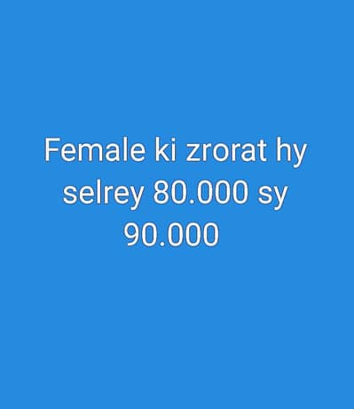 female ki zrorat hy selrey 80.000 sy 90.000