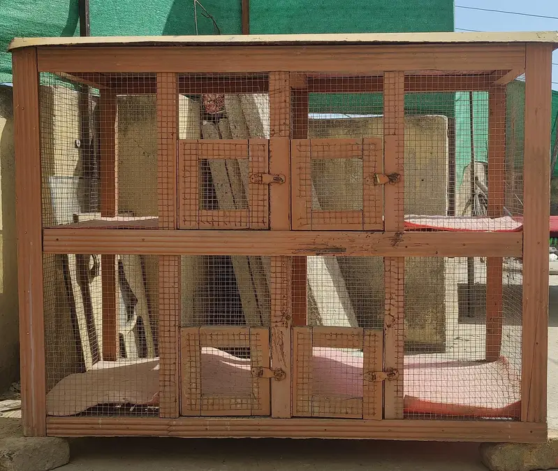 Cage for hen — photo 2