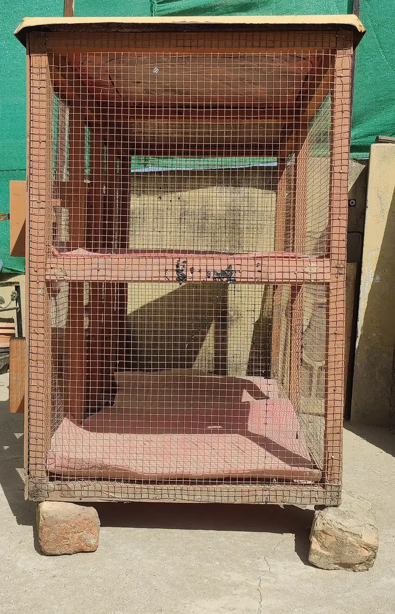 Cage for hen — photo 3