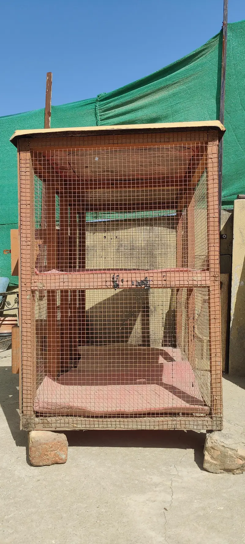 Cage for hen — photo 4