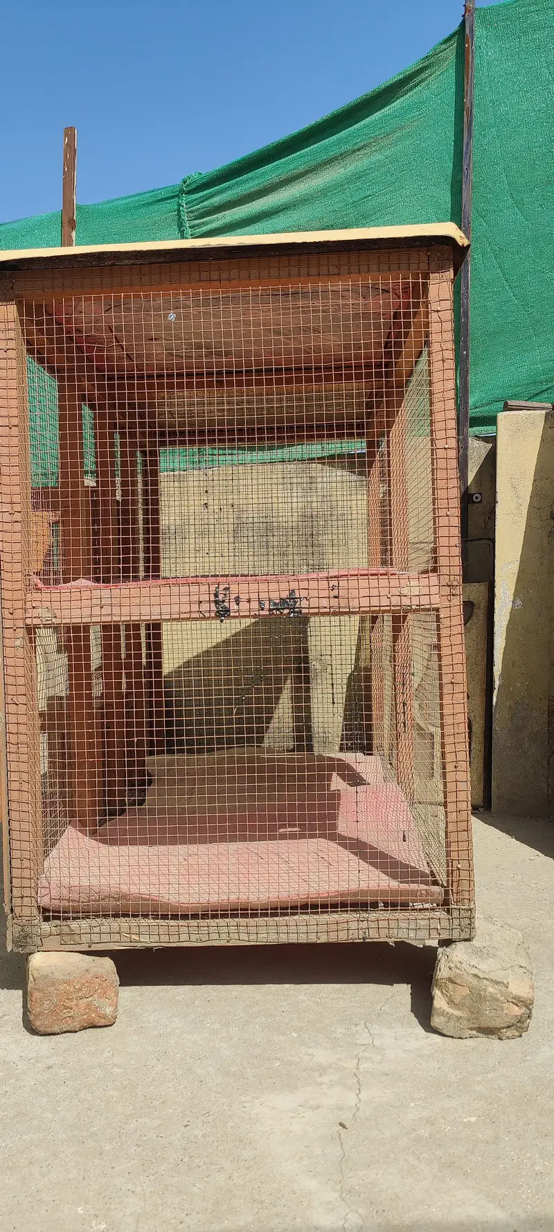 Cage for hen — photo 5