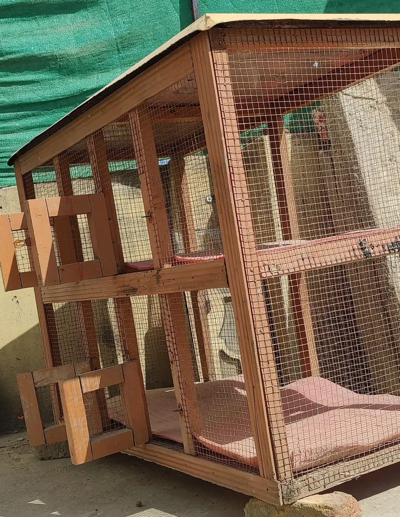 Cage for hen — photo 6