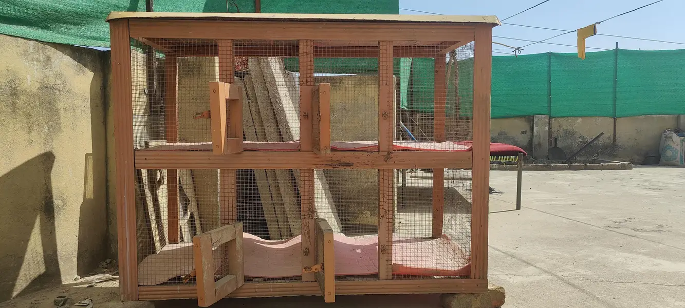 Cage for hen — photo 7
