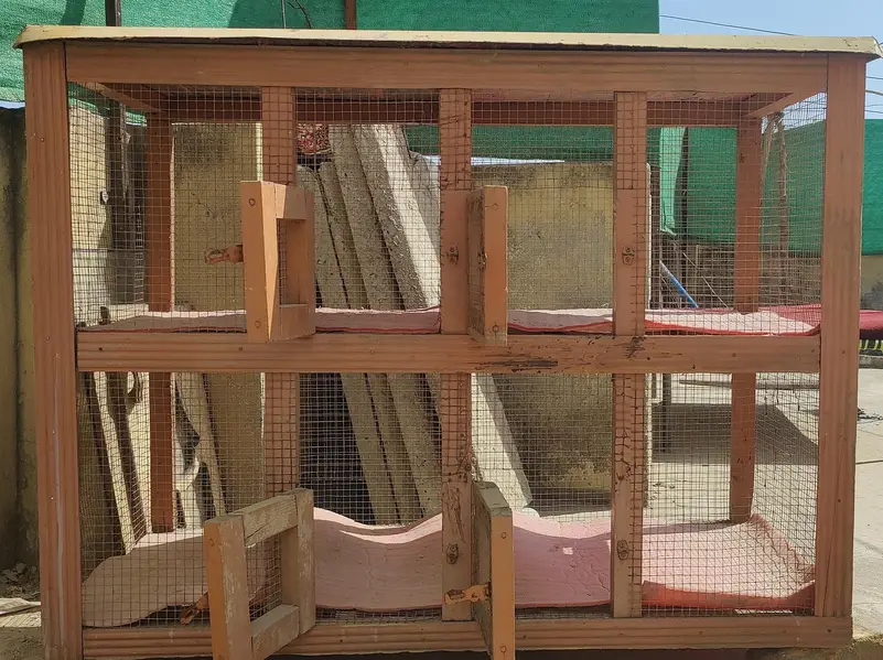 Cage for hen — photo 8