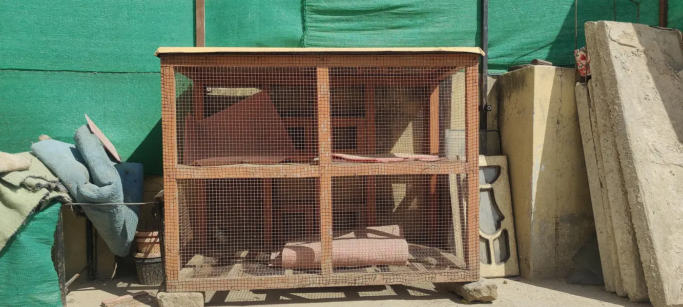 Cage for hen — photo 9