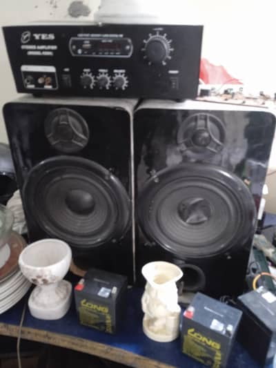 Amplifier speakers