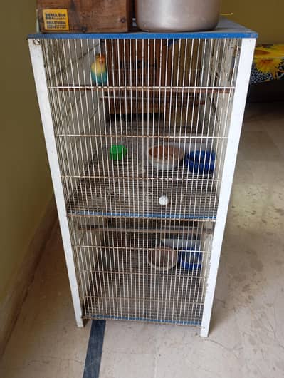 cage for birds