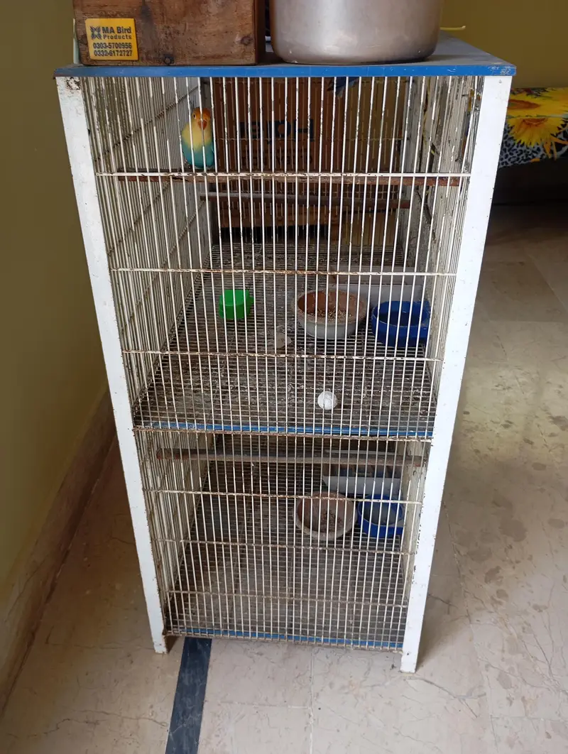 cage for birds