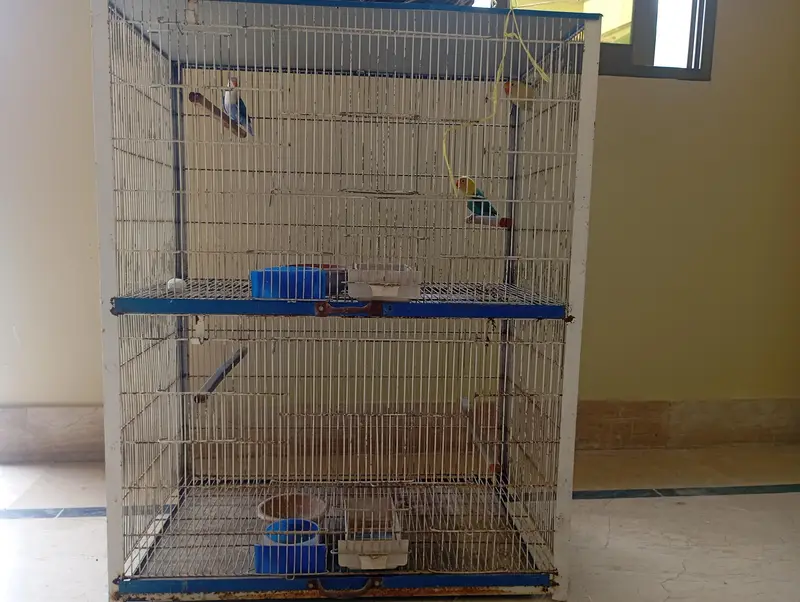 cage for birds — photo 2