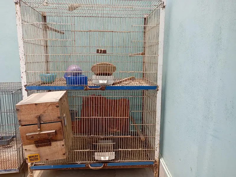 cage for birds — photo 3