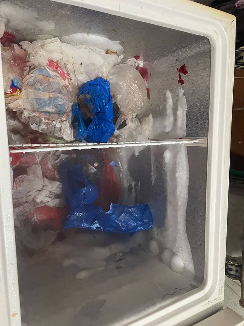 Waves Deep Freezer 1