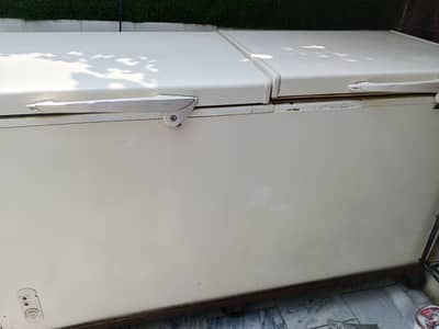 Waves Deep Freezer
