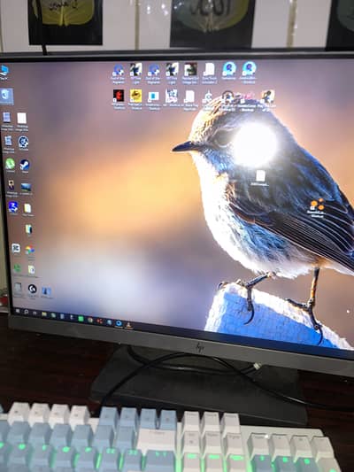 HP e243i 24 inch Borderless monitor