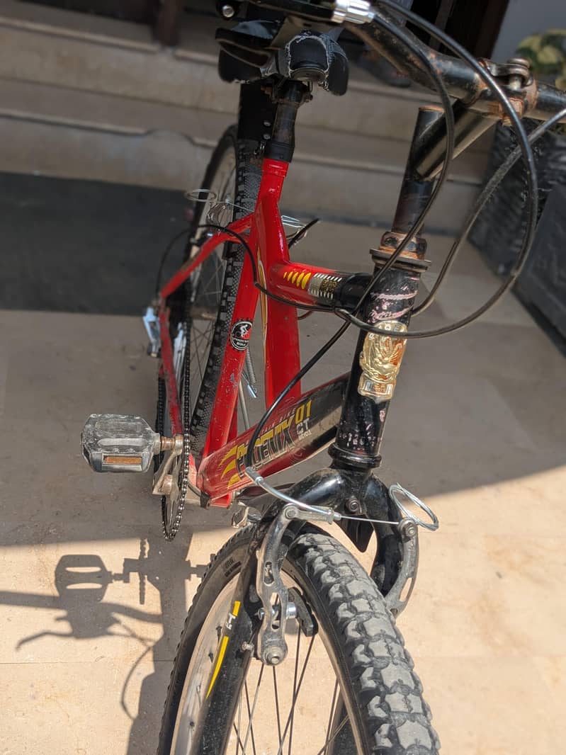 Bicycle 1