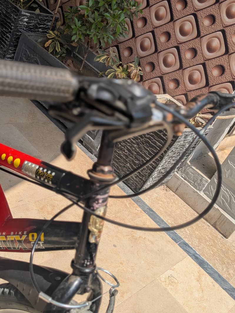 Bicycle 4