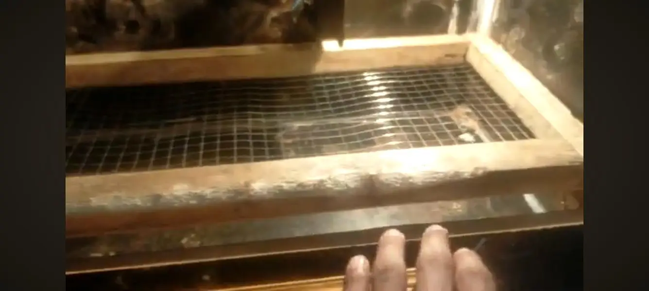 egg machine for sale — photo 2