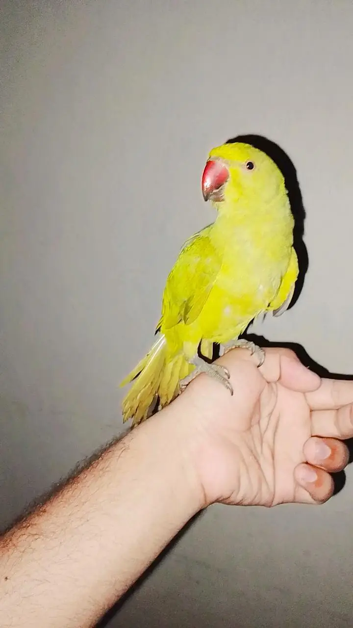 4 month hand taim — photo 4