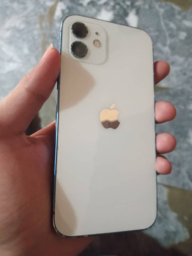 Apple iPhone 12 1