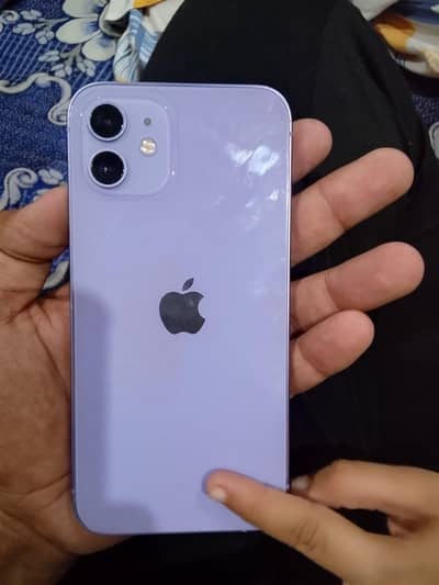 Apple iPhone 12